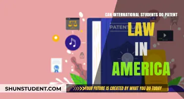 International Students: Patent Law Career in America