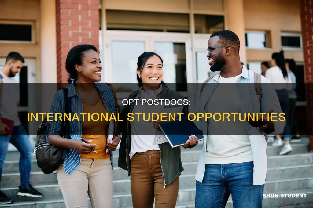 can international students do postdoc on opt