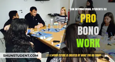 Pro Bono Work: Opportunities for International Students