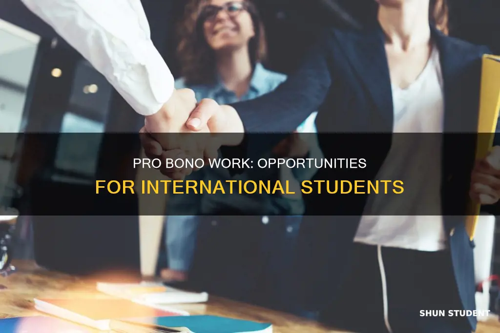 can international students do pro bono work