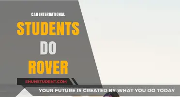 International Students: Can They Join Rover?