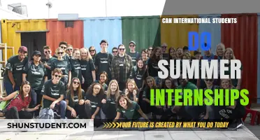 Summer Internships: A Global Student Opportunity