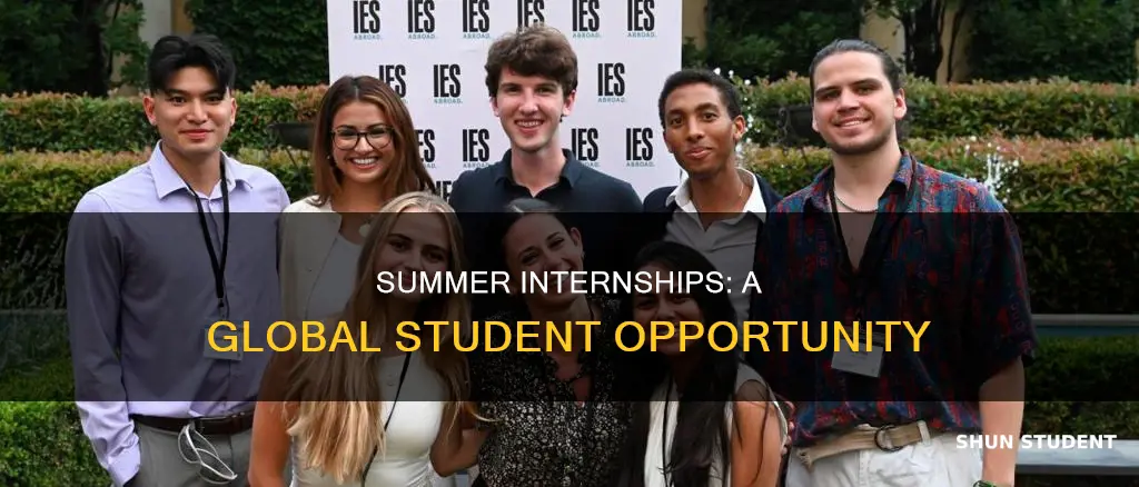 can international students do summer internships