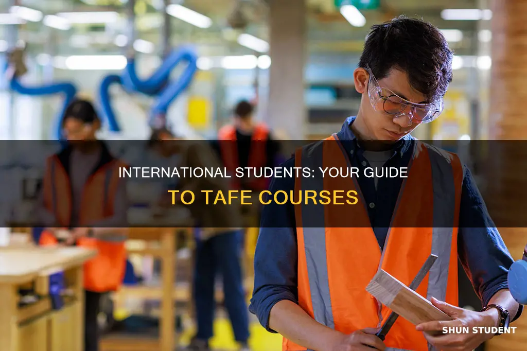 can international students do tafe courses
