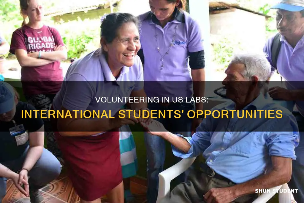 can international students do volunteer in lab in us