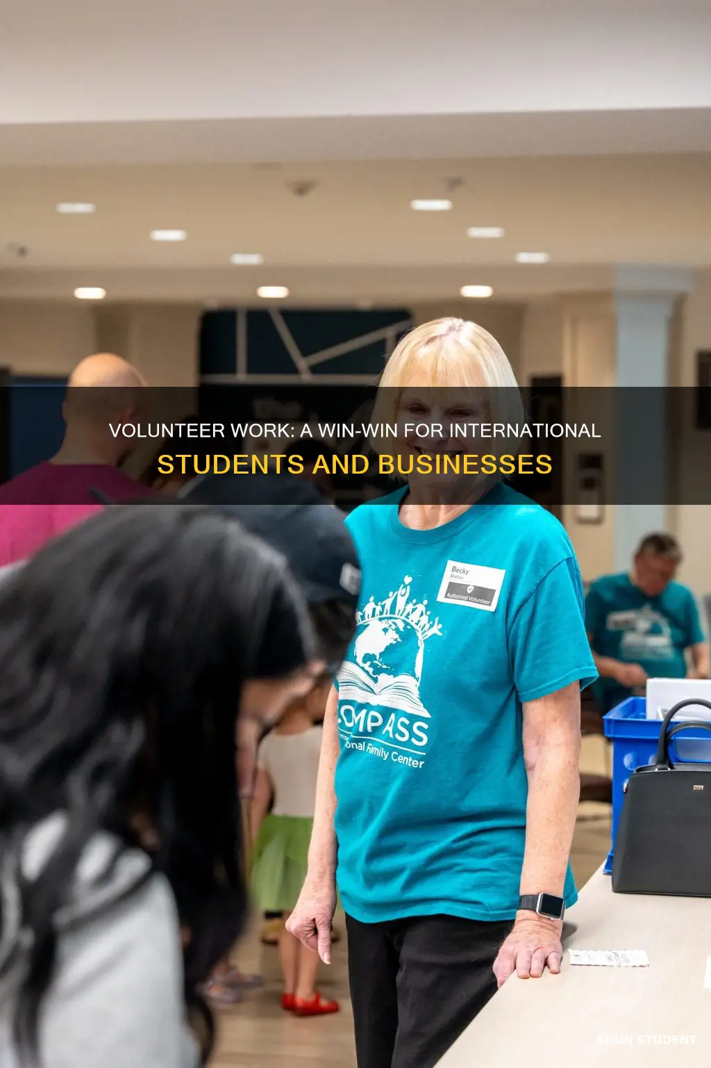 can international students do volunteer work in profitable business