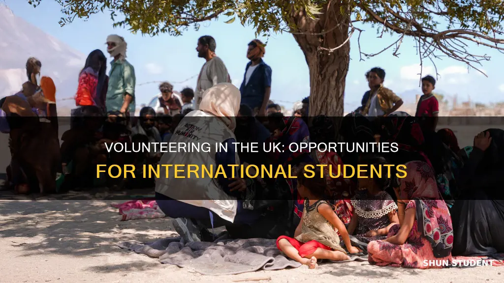 can international students do volunteer work in uk