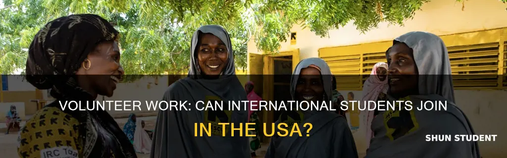 can international students do volunteer work in usa
