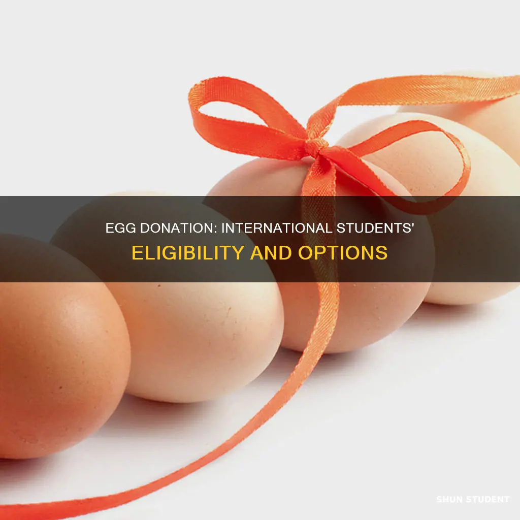 can international students donate eggs