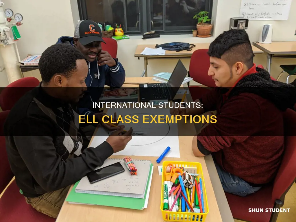 can international students don