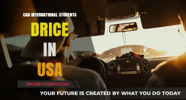 Driving in the USA: International Student Rules