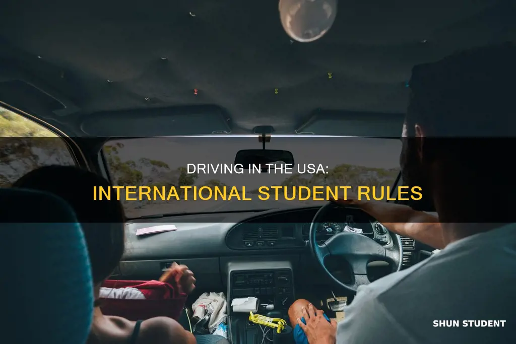 can international students drice in usa