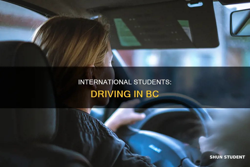 can international students drive in bc