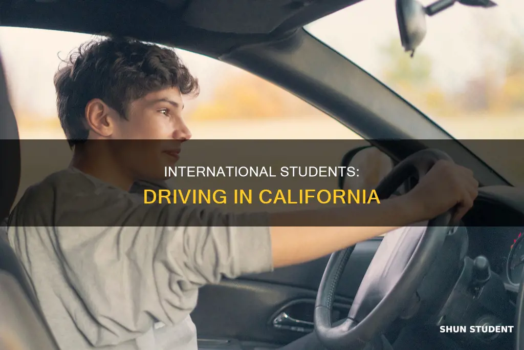 can international students drive in california