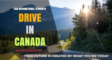 International Students Driving in Canada: What's the Deal?