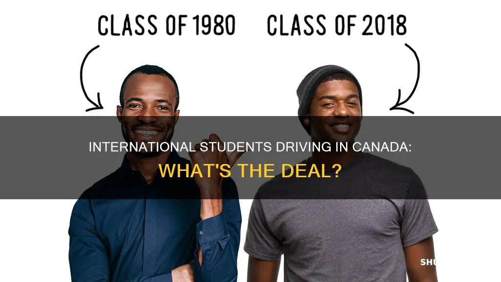can international students drive in canada