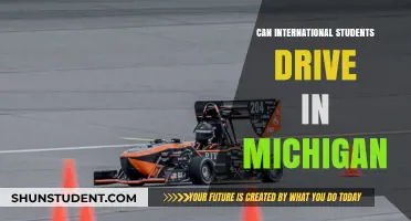 International Students: Driving in Michigan