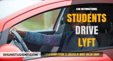 International Students: Can They Drive for Lyft?