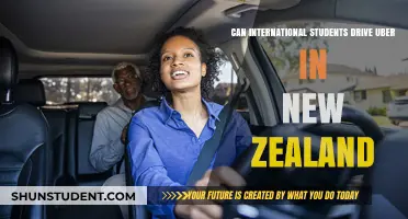International Students Driving Uber in New Zealand: What's the Deal?