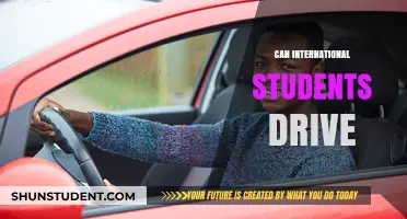 Driving Abroad as an International Student: What You Need to Know