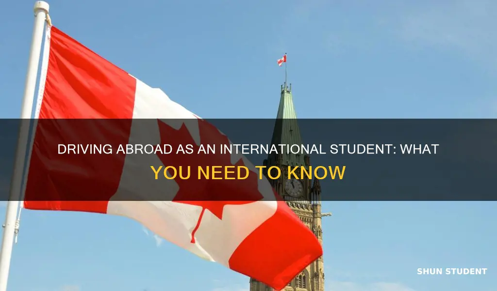 can international students drive