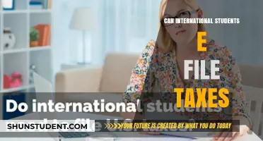 E-Filing Taxes: International Students' Guide to Success
