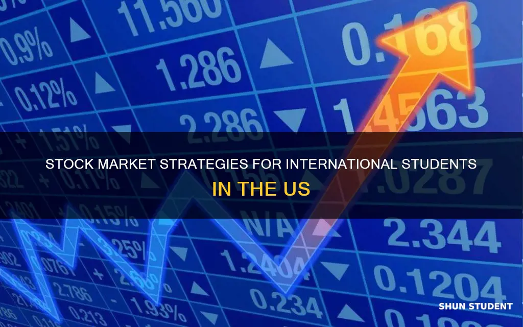 can international students earn money via stock market in us