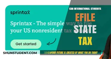 International Students: E-file Your State Tax Returns