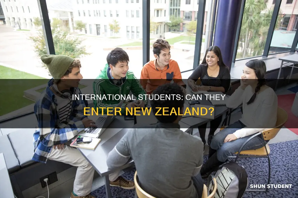 can international students enter new zealand