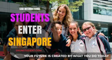 International Students: Can They Enter Singapore?