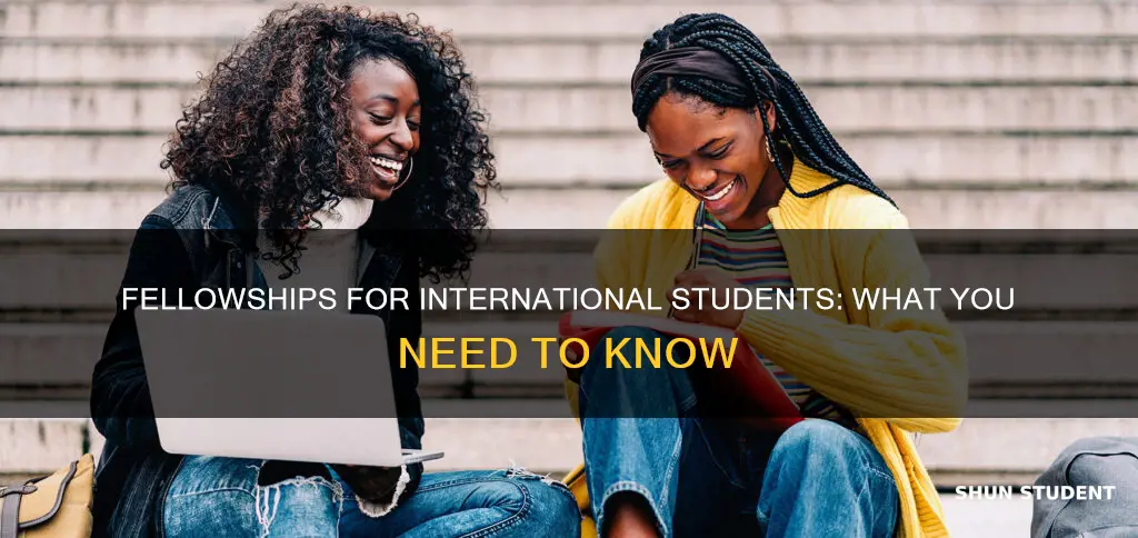 can international students fellowship