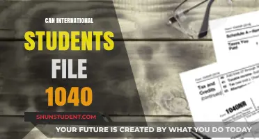 Filing 1040s: What International Students Need to Know