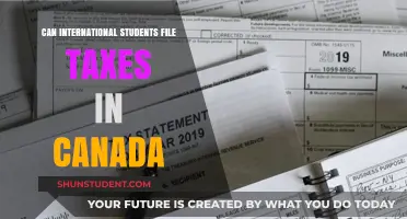 International Students: File Canadian Taxes?