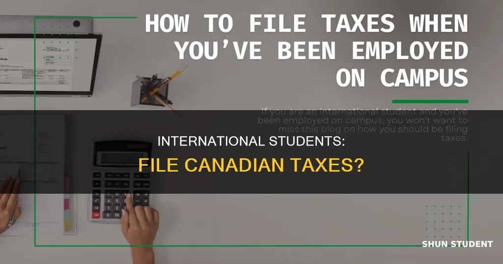 can international students file taxes in canada