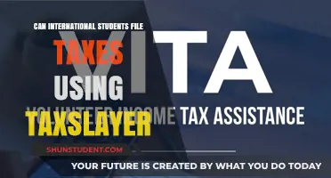 Filing Taxes: TaxSlayer for International Students