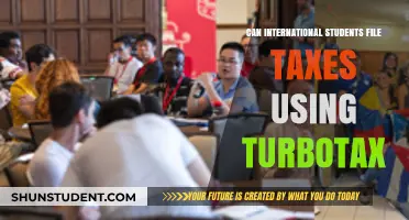 International Students: File Taxes with TurboTax?