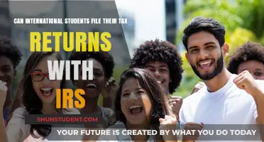International Students: File Tax Returns with the IRS?