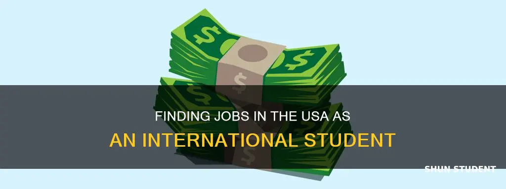 can international students find jobs in usa