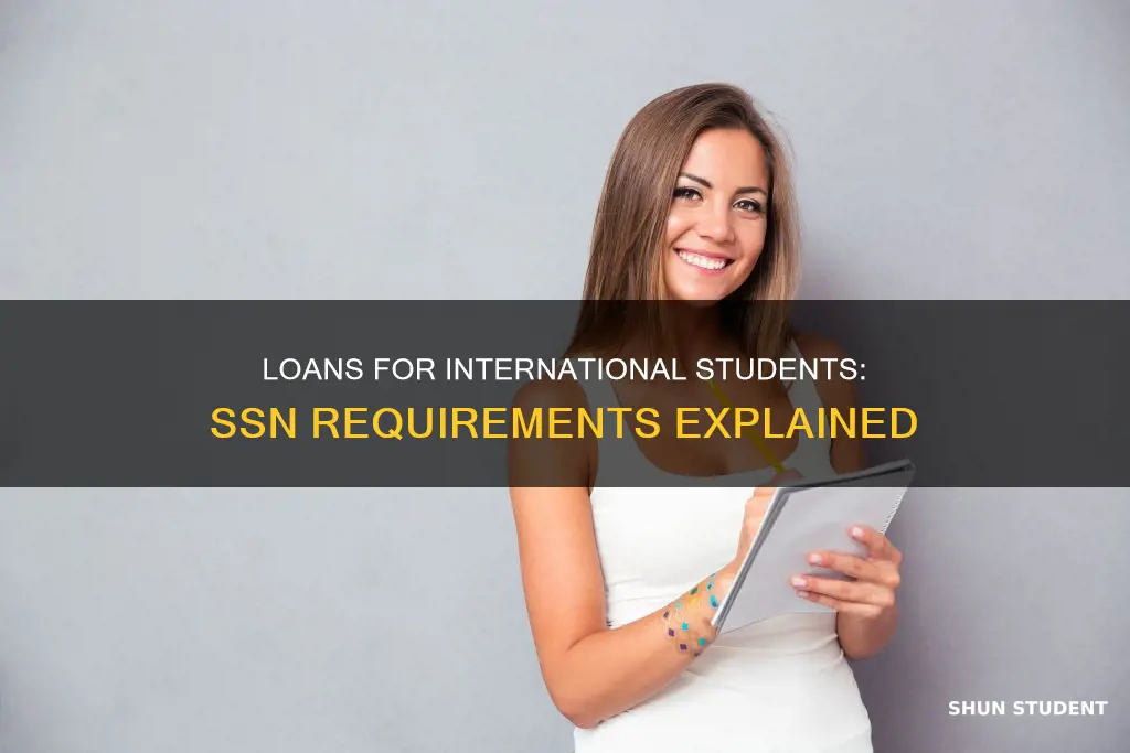 can international students get a loan with ssn
