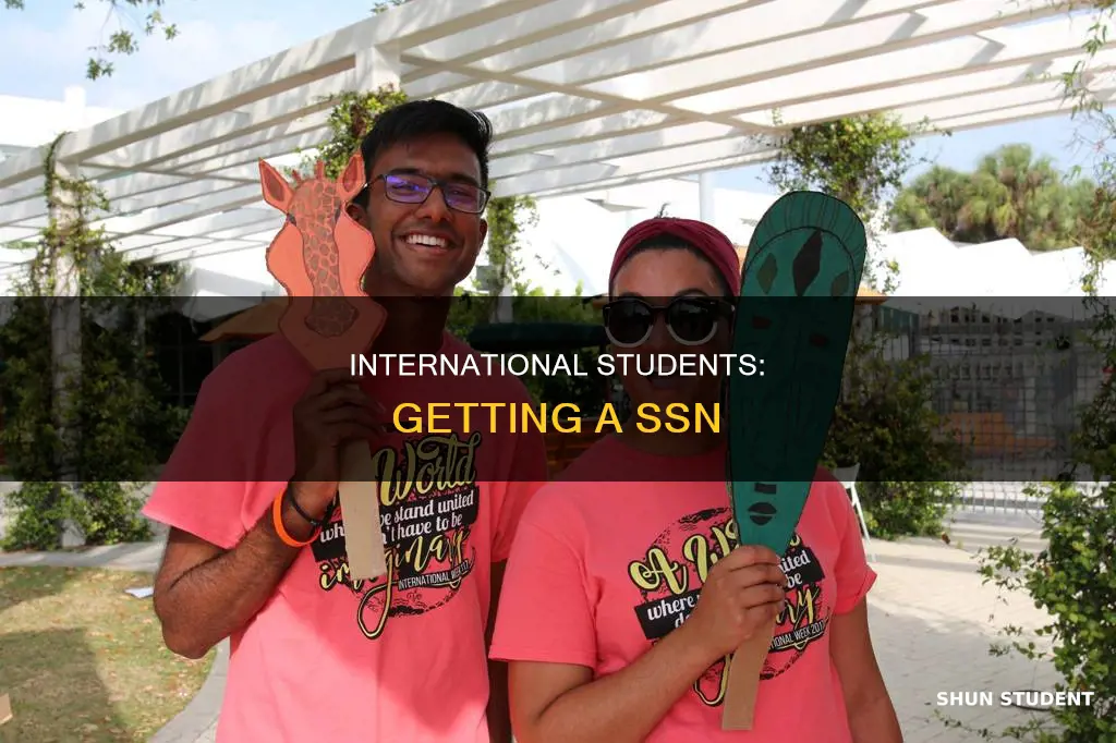 can international students get a ssn