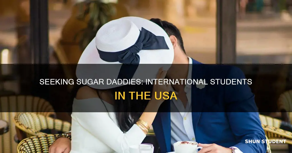 can international students get a sugar daddy usa