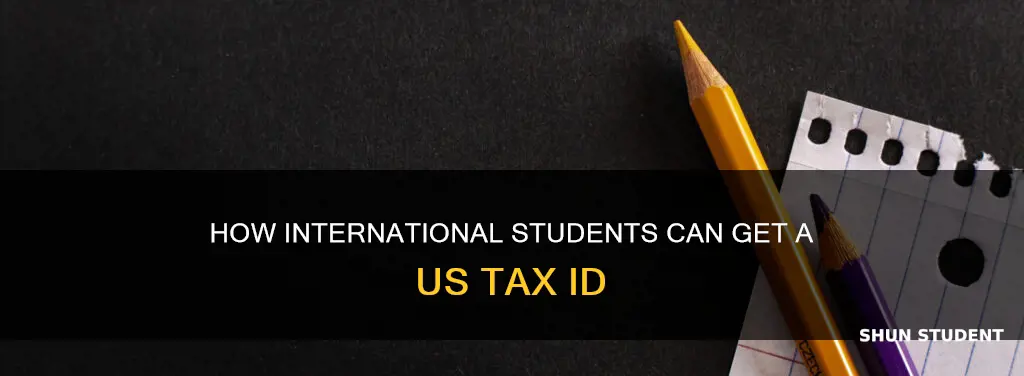 can international students get a tax id