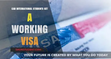 Working Visa Options for International Students
