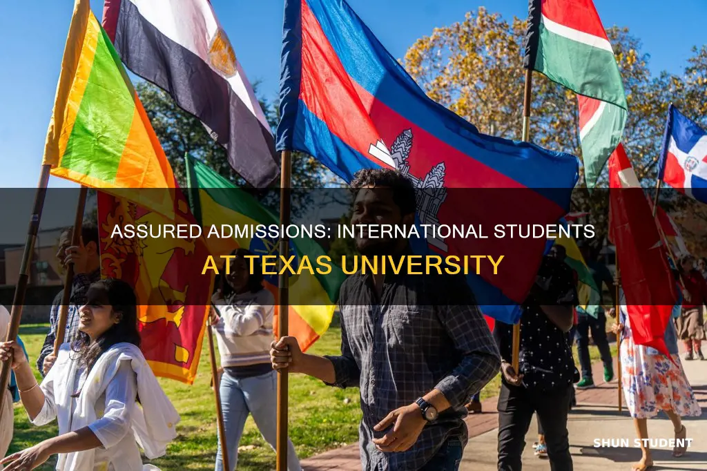 can international students get assured admission in texas university