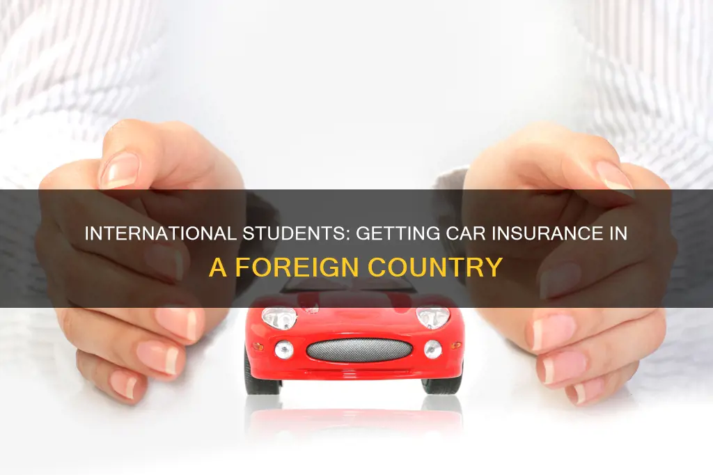 can international students get car insurance