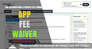How International Students Can Waive Common App Fees