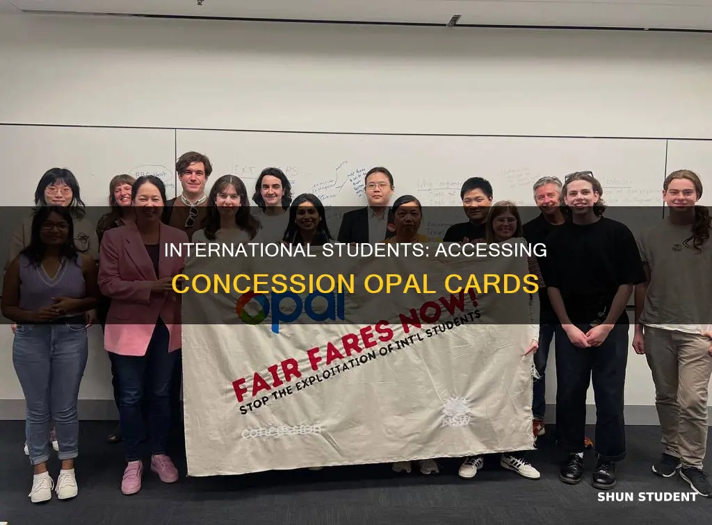 can international students get concession opal card