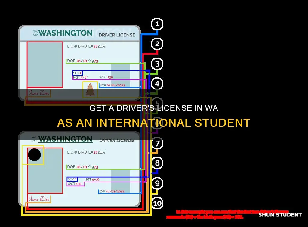 can international students get drivers license in wa
