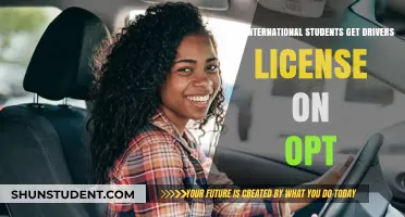 International Students: Getting a Driver's License on OPT