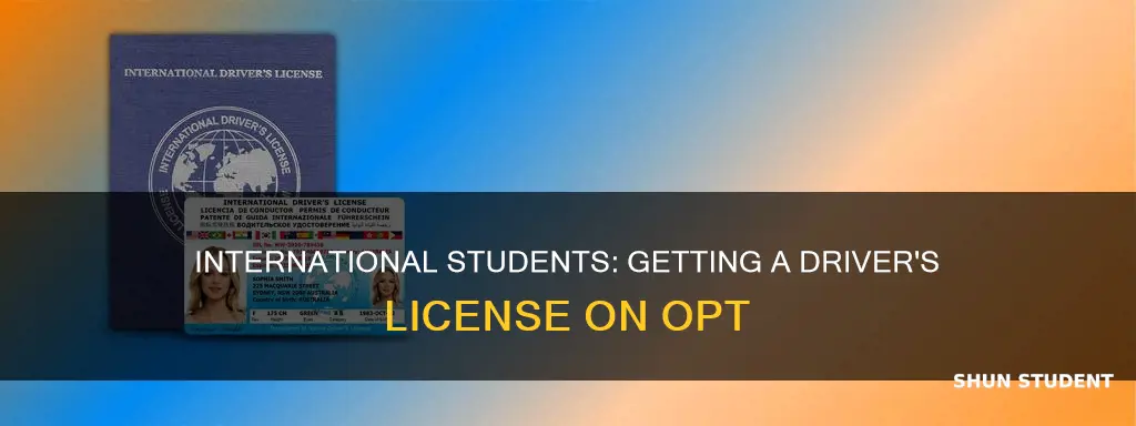 can international students get drivers license on opt